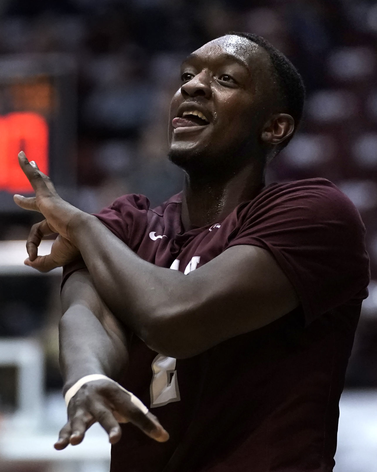 Griz v Cats-19-tm.jpg